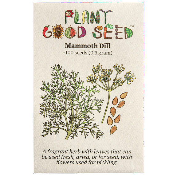 Mammoth Dill Seeds
