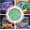 Colorful, variant on Glow in The Dark Stones, 500 Pieces Decorative Pebbles, DIY Colorful Glow in The Dark Rocks, for Fish Tank, Aquarium, Art Crafts, Yard, Garden, Pond