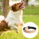 thumbnail image 3 of Collar de perro de ajuste ceñido, collar ajustable con hebilla acolchada, adecuado para perros pequeños, medianos y grandes, 3 of 5