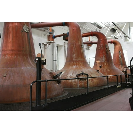 Canvas Print Distillery Whisky Single Malt Burn Distill Stills Stretched Canvas 10 x (Best Islay Single Malt Whiskey)