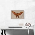 thumbnail image 2 of ARTCANVAS Butterfly 1896 Canvas Art Print by Albert Bierstadt - Size: 18" x 12" (0.75" Deep), 2 of 9