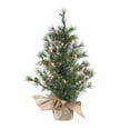 thumbnail image 3 of 24 in. Silver Tip Pine Pre-Lit Christmas Tree, 3 of 3