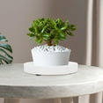thumbnail image 3 of Toyvian Round Plastic Plant Drainage Tray White Pot Saucers for Indoor Flower Pot Water Catching, 3 of 5