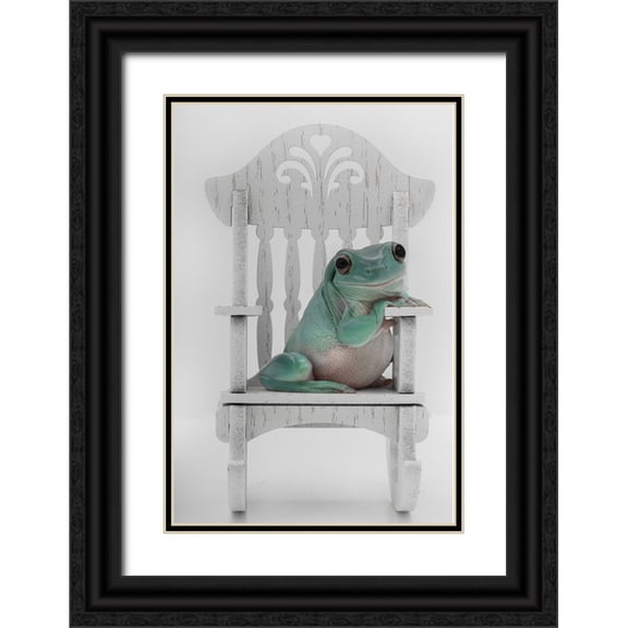 D Lester, Linda 11x14 Black Ornate Wood Framed with Double Matting Museum Art Print Titled - Rocking Whites Tree Frog