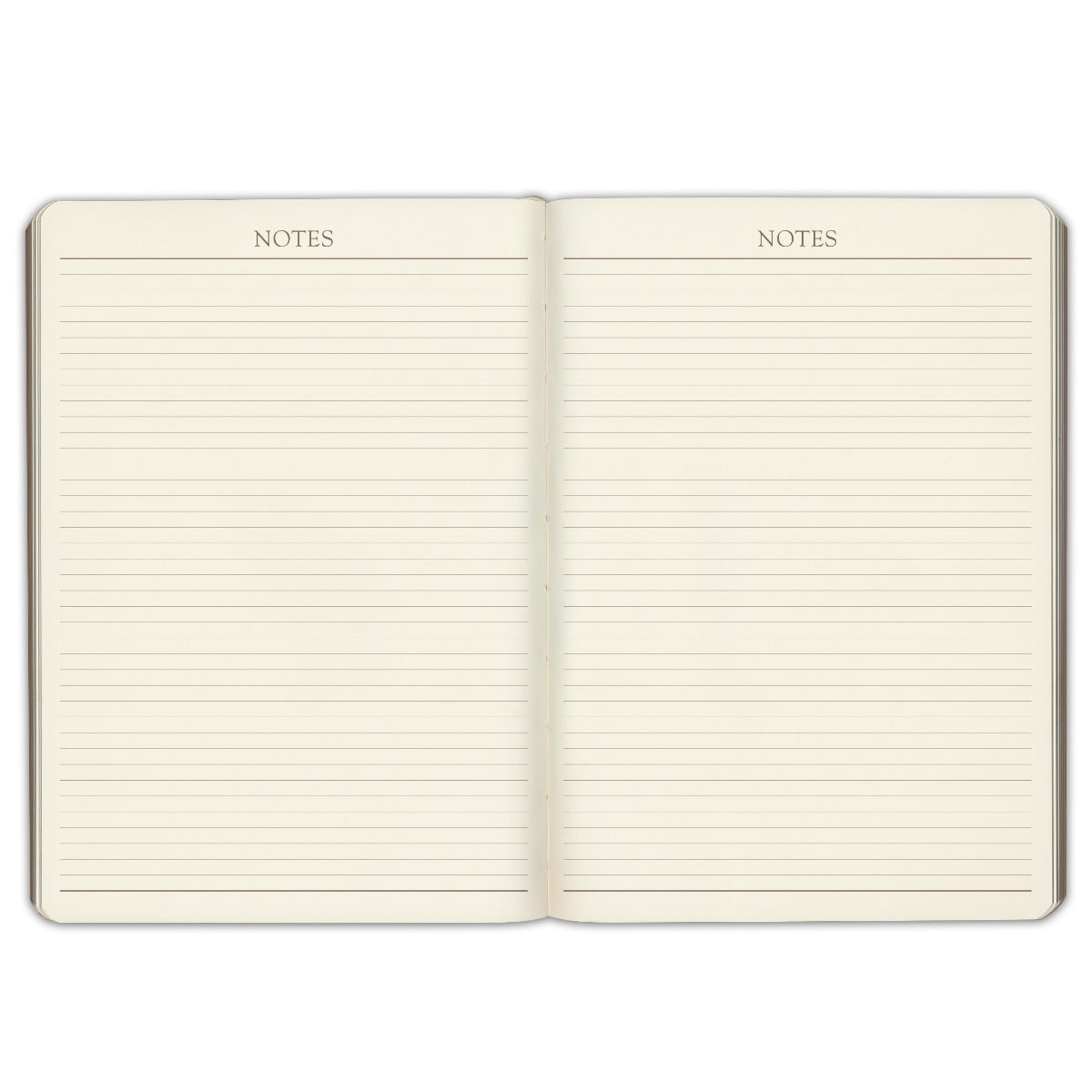 Gallery Leather Undated Daily Planner - Acadia Black - 8" x 5.5"