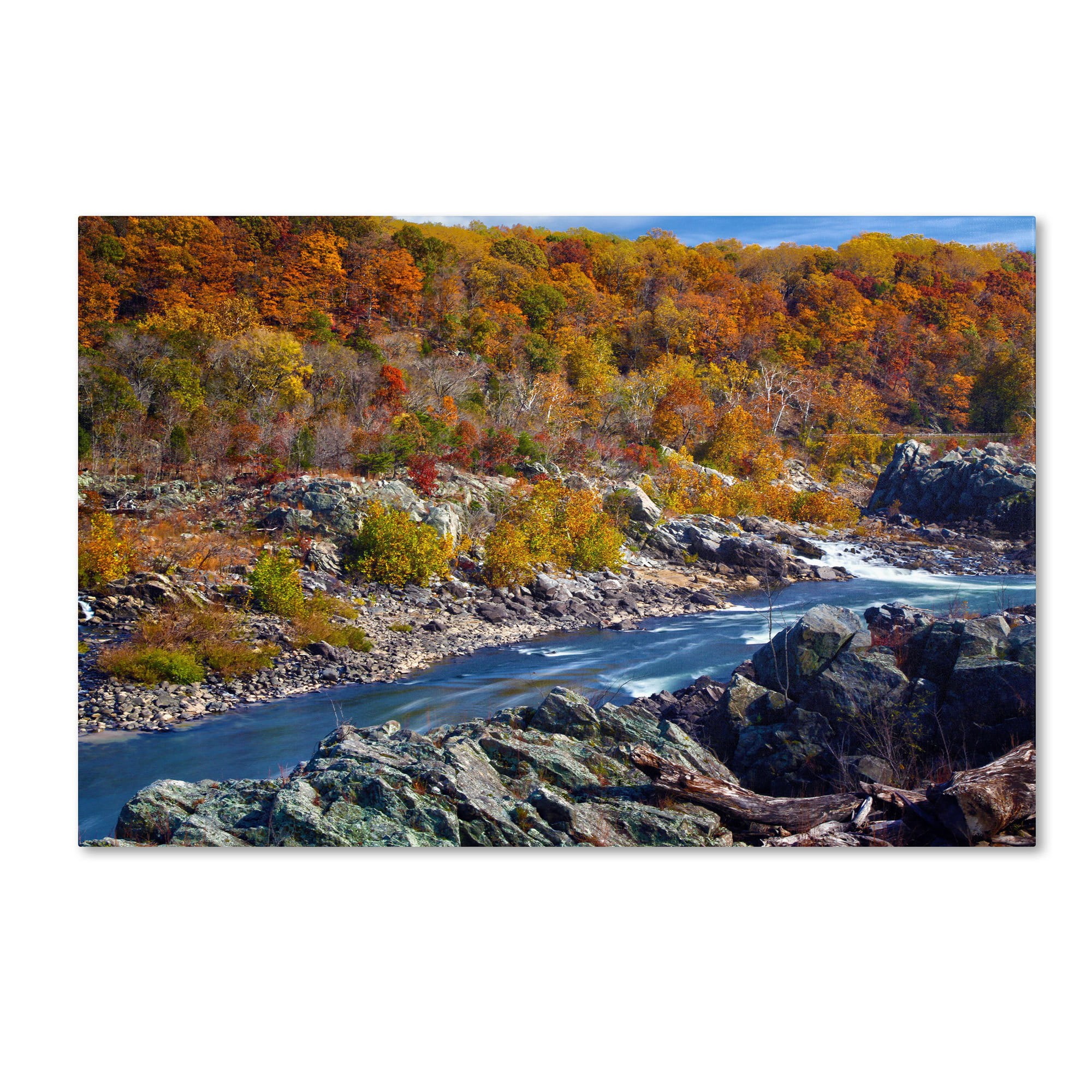 "Potomac Autumn" Canvas Art by CATeyes