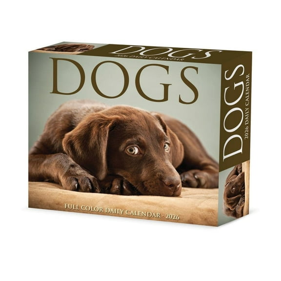 Willow Creek Press, Dogs 2026 Desk Calendar, 6.18'' X 5.43'', Daily Calendar with Adhesive Binding