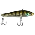 thumbnail image 2 of Berkley Ripfish, 2 of 5