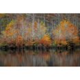 thumbnail image 3 of Burt, D. 14x11 Black Modern Framed Museum Art Print Titled - Autumn Cypress, 3 of 5