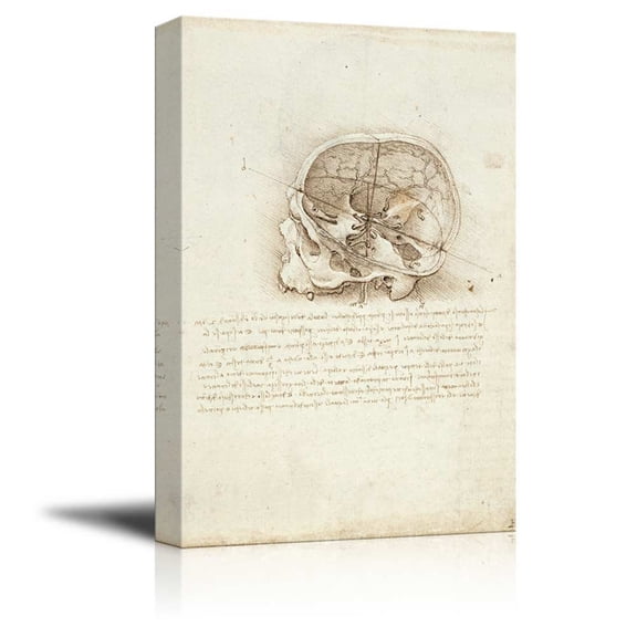 wall26 Anatomical Studies View of a Skull by Leonardo Da Vinci - Canvas Print Wall Art Famous Oil Painting Reproduction - 32" x 48"