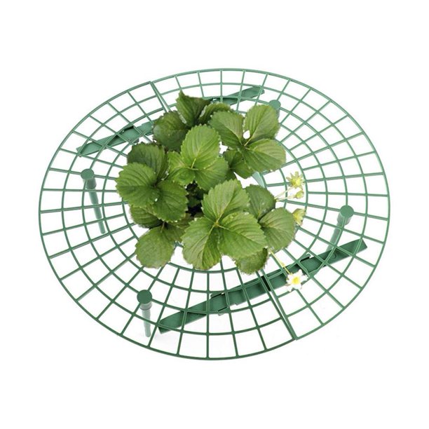Soporte para fresas, soporte para marco, soporte para jardinería, bandeja para plantas, estante, herramienta de soporte para frutas