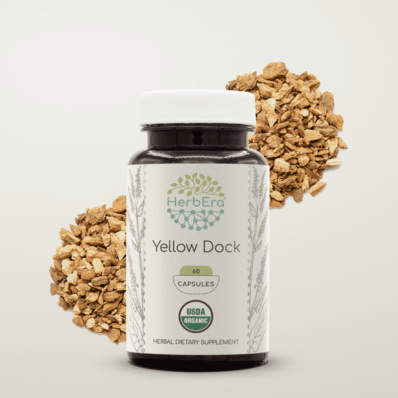 HerbEra Yellow Dock Capsules, Organic Herbal Dietary Supplement for Digestive Support, Certified Organic Yellow Dock (Rumex Crispus) Dried Root Capsules, Natural, 60 Capsules