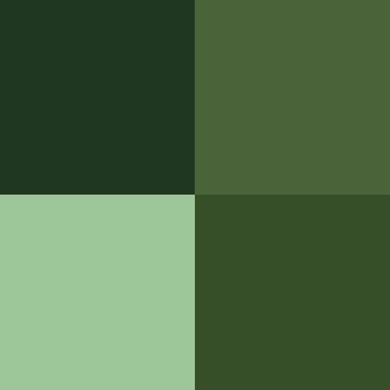 Vallejo Game Color Green Color Set ,Professional Miniature Painting Set ,4×18ml
