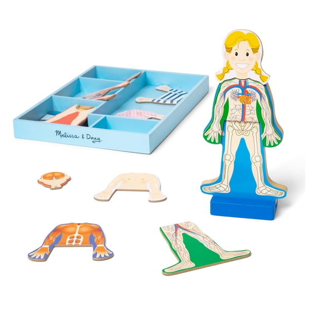 Melissa & Doug Juego Magnético de Anatomía del Cuerpo Humano, Imanes Anatómicamente Correctos de Niños y Niñas, 24 Piezas Magnétic