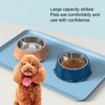 thumbnail image 2 of CSChome Bol pour Animaux Bol Alimentaire en Acier Inoxydable Alimentation Teddy Boisson Séparé Double Alimentation, 2 of 7