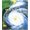 Silver, variant on Pre-Owned The Weather (Hardcover) 1552976408 9781552976401