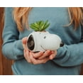 thumbnail image 6 of Peanuts Snoopy Face Ceramic Mini Planter with Artificial Succulent | 3.5"L x 5" H x 5" W, 6 of 7
