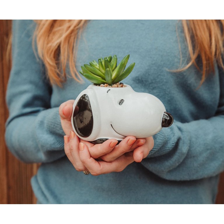 スヌーピーのビンテージセラミックプランターPeanuts Peanuts Snoopy Face Ceramic Mini Planter with Artificial