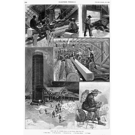 From Log To Lumber 1889 N1 Dinner Hour 2 The Log Carrier 3 Sawing The Log 4 The Refuse Burner 5 A Logger Wood Engravings From An American Newspaper Of 1889 Rolled Canvas Art -  (24 x (The Best Log Burners)
