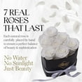 thumbnail image 2 of GLAMOUR BOUTIQUE 7-Piece Forever Flowers Heart Shape Box - Preserved Roses, Immortal Roses That Last A Year - Eternal Rose Preserved Flowers for Delivery Prime Mothers Day & Valentines Day - White, 2 of 8