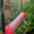 thumbnail image 2 of Taqqpue Bird Feeders for Outdoors Hanging Best Hummingbird Feeder With Hole Birds Feeding Transparent Pipe Easy To Use for Outside Garden Yard Decorations on Clearance, 2 of 8