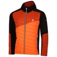 thumbnail image 3 of Dare 2B Mens Touring Contrast Panel Hybrid Jacket, 3 of 5