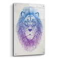 thumbnail image 2 of Epic Art 'Lion Face' by Rachel Caldwell, Acrylic Glass Wall Art, 24"x36", 2 of 8