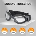 thumbnail image 4 of Gafas para Perros Namsan Claras para Razas Medianas con 2 Lentes, 4 of 8