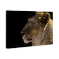 thumbnail image 3 of Stupell Industries Transitional Canvas Art, 30 x 20, by Danita Delimont, 3 of 9