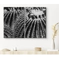 thumbnail image 1 of PixonSign Canvas Print Wall Art Set Hedgehog Cactus Top Botanical Wilderness Photography Modern Art Contemporary Portrait Relax/Calm Dark Black and White for Living Room, Bedroom, Office - 24"x36"x2, 1 of 5