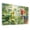 Color 2, variant on 8 Pack Art Acoustic Panels Sound Absorbing Tropical Green Leaves Textured Foliage Decorative Soundproof Wall Panels Self Adhesive for Nursery Game Room Bedroom 48"x32"