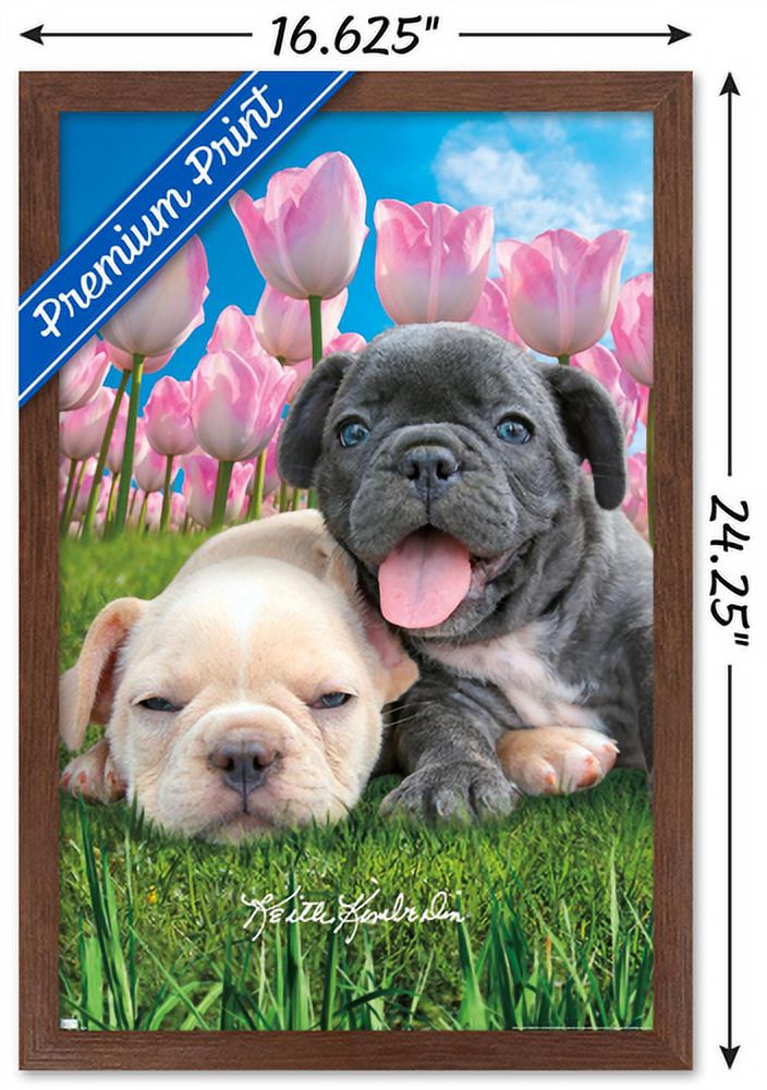 Keith Kimberlin - Bulldog Puppies Wall Poster, 14.725" x 22.375", Framed