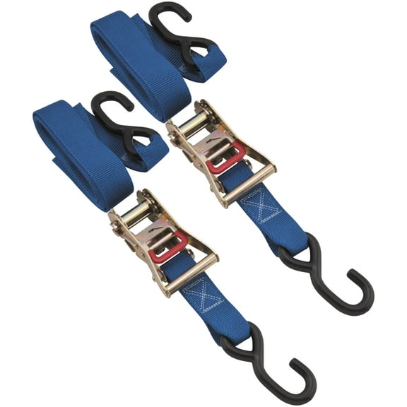BikeMaster 100531 1.5in. Ratchet Tie Downs