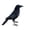 7.8" Artistic Raven Sewing Craft Kit, variant on Artistic Raven Sewing Craft Kit, Handmade Crow Fabric Plush Decoration DIY Textile Bird Ornament for Gothic Home Decor Halloween Display Shelf Table Decorative Collectible