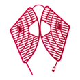 thumbnail image 4 of Red de seguridad para el asiento trasero Fácil de instalar Prevención de pellizcos Accesorios de protección portátiles Piezas duraderas para shamjiam Red de seguridad del asiento trasero, 4 of 9