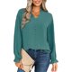 thumbnail image 2 of VISgogo - Blusa informal de manga larga con cuello en V para mujer, color sólido, para primavera y otoño VISgogo moda, 2 of 9