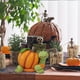 thumbnail image 4 of Xihbxyly Estatua de Zorro de Halloween, Bonita Decoración de Calabaza, Figuras de Tortuga y Búho, Decoración de Halloween para Interior y Exterior, Un Toque Único para El Jardín, Tamaño 13 X 8 X 11 C, 4 of 6