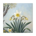 thumbnail image 1 of Daffodils In Neoclassicism - Canvas, 1 of 10