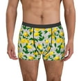 thumbnail image 2 of Goofa Lemon1 Printed Men's Boxer Briefs Underwear, Moisture-Wicking Underwear, Trunk,Soft and Breathable Cotton Underwear-, 2 of 9