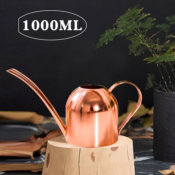 LAMIRO Indoor Watering Can for House Plants Stainless Steel Watering Can Metal with Long Spout