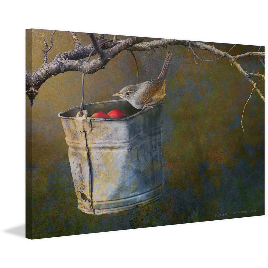 "Apple Bucket Wren" Painting Print on Wrapped Canvas
