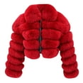 thumbnail image 2 of AXXD Women Faux Fur Coat,Women Plus Size Faux Coat Warm Furry Faux Short Jacket Long Sleeve Outerwear, 2 of 5