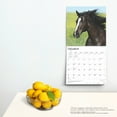 thumbnail image 4 of Quarter Horses 2025 12 X 24 Inch Monthly Square Wall Calendar Plastic-Free (Wall), 4 of 8