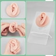 thumbnail image 3 of 2 Pcs Silicone Ear Model with Acrylic Stands Left and Right Flexible Model Ear Piercing Practice Realistic Silicone Soft Ear Mold for Jewelry Display Acupuncture Mannequin Teaching 1 Bag, 3 of 6