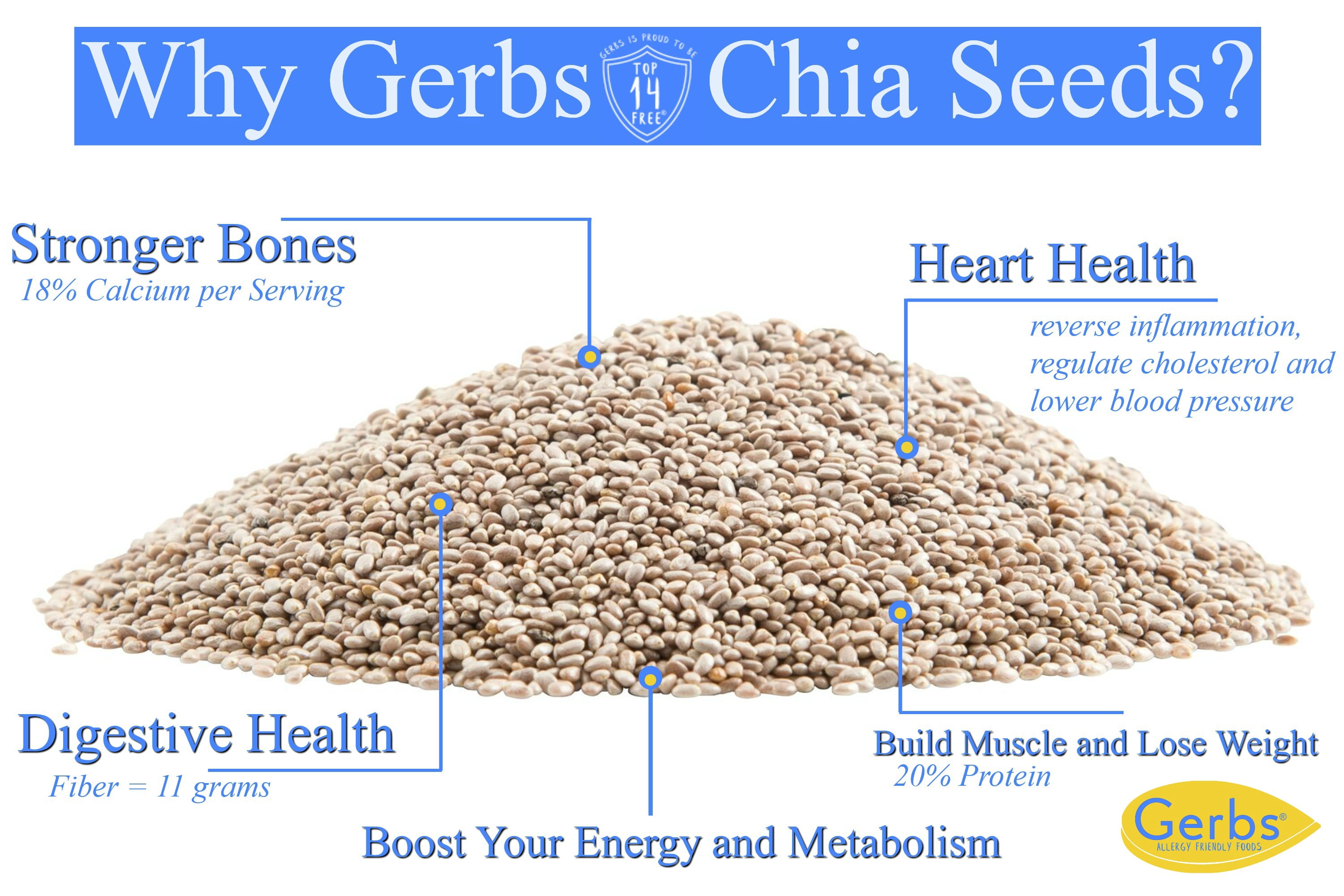 Raw White Chia Seeds, 14 oz. by Gerbs ? Top 14 Food Allergy Free & NON GMO - Vegan & Kosher - Premium Quality Grown in Canada