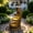 Brown, variant on mdj pottery 35.4 Inch Tall Resin Outdoor Water Fountain, 4-Tier Cascading Fountain with LED Lights and Lantern Top, for Patio, Garden, Backyard Decor - Grey