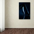 thumbnail image 3 of Erik Schottstaedt 'Blue Velvet' Canvas Art, 3 of 3