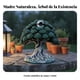 thumbnail image 5 of predolo Estatua de el Madre Tierra Regalo Espiritual Figura de el Diosa Gaia Diseño Simbólico Decoración para una Hogar para Patio, Altar, 5 of 5