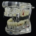 thumbnail image 4 of Fang Grillz Four 4 Open Face Teeth Silver Tone Upper Top Fangs Vampire Hip Hop Grills, 4 of 5