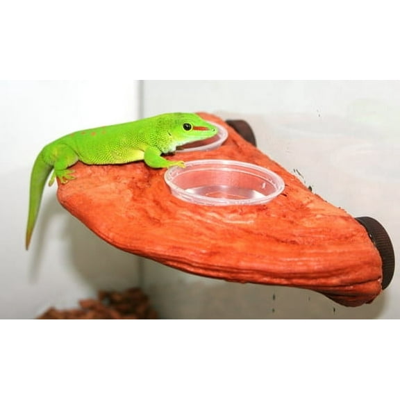 MagNaturals Magnetic Gecko Ledge (Mojave)